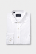 Gianni Boston White Pinpoint Shirt